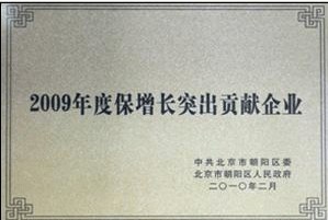 2009年保增长突出企业